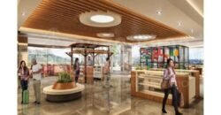 TERRAVISTA PLAZA- Locales Comerciales en Barrio Rio de Piedras, San Pedro Sula/ Nivel 8