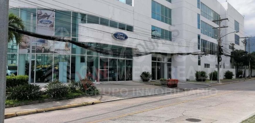 RENTA- Local Comercial en Colonia Trejo Avenida Circunvalación, San Pedro Sula