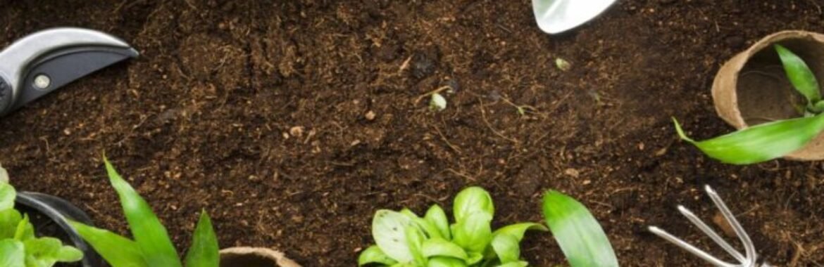 15 CONSEJOS DE JARDINERÍA PARA PRINCIPIANTES