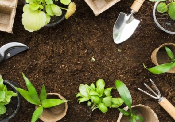 15 CONSEJOS DE JARDINERÍA PARA PRINCIPIANTES