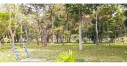 Apartamento en alquiler en Villas de Mackay, San Pedro Sula