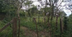 Terreno en venta en Quimistan (25 Manzanas) Santa Barbara Honduras $10,400 Por Mz. ****VENDIDO