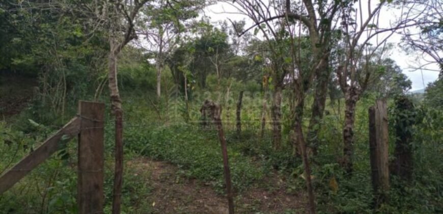 Terreno en venta en Quimistan (25 Manzanas) Santa Barbara Honduras $10,400 Por Mz. ****VENDIDO