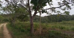 Terreno en venta en Quimistan (25 Manzanas) Santa Barbara Honduras $10,400 Por Mz. ****VENDIDO