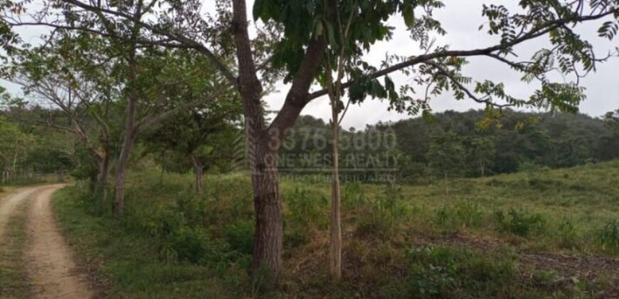 Terreno en venta en Quimistan (25 Manzanas) Santa Barbara Honduras $10,400 Por Mz. ****VENDIDO