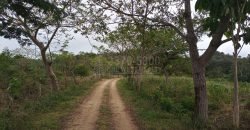 Terreno en venta en Quimistan (25 Manzanas) Santa Barbara Honduras $10,400 Por Mz. ****VENDIDO