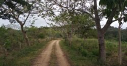 Terreno en venta en Quimistan (25 Manzanas) Santa Barbara Honduras $10,400 Por Mz. ****VENDIDO