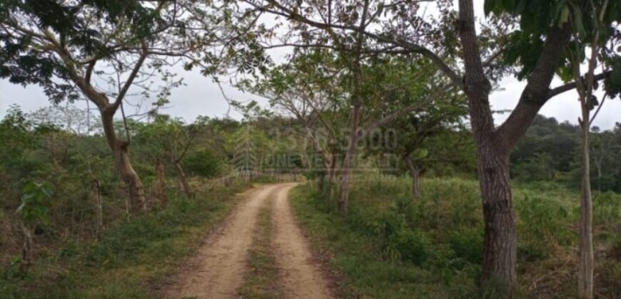 Terreno en venta en Quimistan (25 Manzanas) Santa Barbara Honduras $10,400 Por Mz. ****VENDIDO