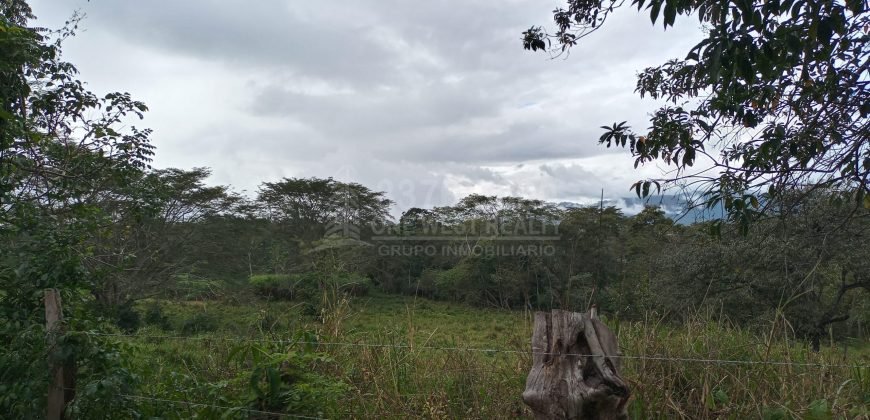 Terreno en venta en Quimistan (25 Manzanas) Santa Barbara Honduras $10,400 Por Mz. ****VENDIDO