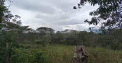 Terreno en venta en Quimistan (25 Manzanas) Santa Barbara Honduras $10,400 Por Mz. ****VENDIDO