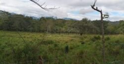Terreno en venta en Quimistan (25 Manzanas) Santa Barbara Honduras $10,400 Por Mz. ****VENDIDO