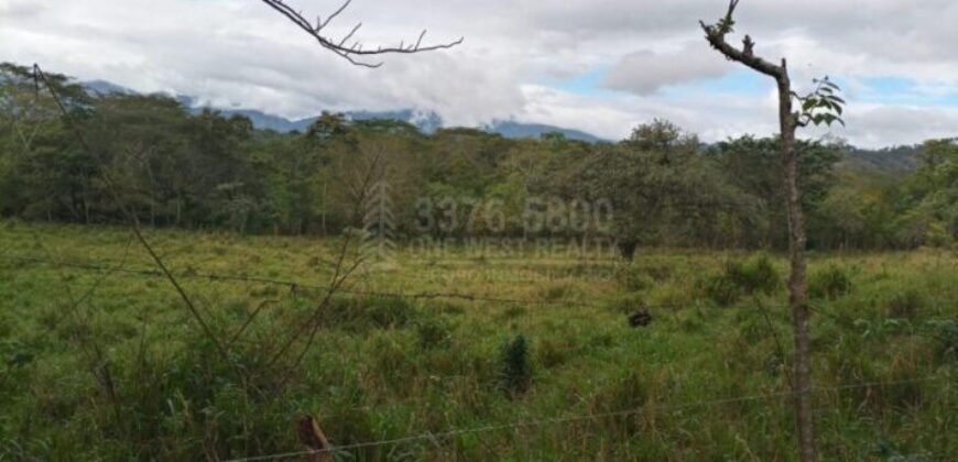 Terreno en venta en Quimistan (25 Manzanas) Santa Barbara Honduras $10,400 Por Mz. ****VENDIDO