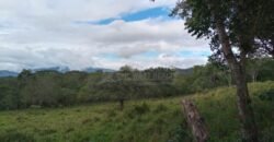 Terreno en venta en Quimistan (25 Manzanas) Santa Barbara Honduras $10,400 Por Mz. ****VENDIDO