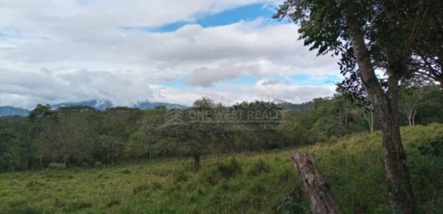 Terreno en venta en Quimistan (25 Manzanas) Santa Barbara Honduras $10,400 Por Mz. ****VENDIDO