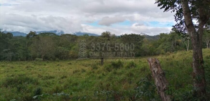 Terreno en venta en Quimistan (25 Manzanas) Santa Barbara Honduras $10,400 Por Mz. ****VENDIDO