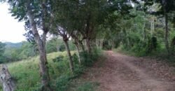 Terreno en venta en Quimistan (25 Manzanas) Santa Barbara Honduras $10,400 Por Mz. ****VENDIDO