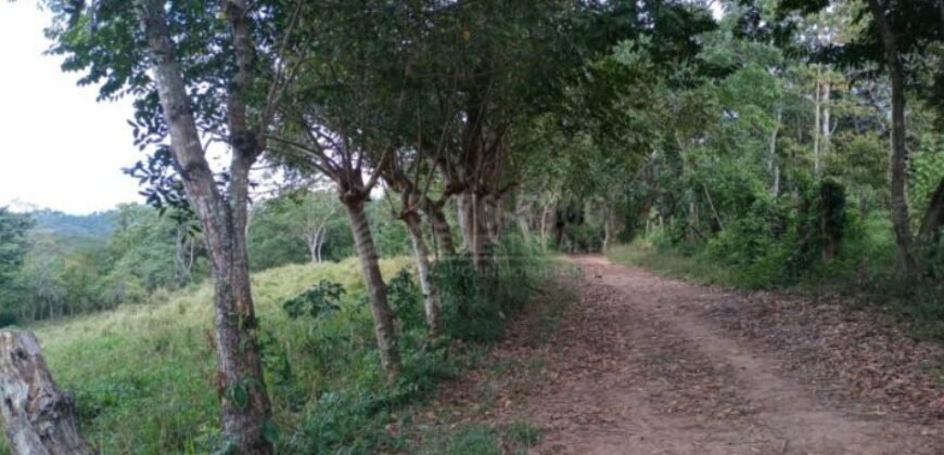 Terreno en venta en Quimistan (25 Manzanas) Santa Barbara Honduras $10,400 Por Mz. ****VENDIDO