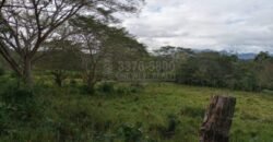 Terreno en venta en Quimistan (25 Manzanas) Santa Barbara Honduras $10,400 Por Mz. ****VENDIDO