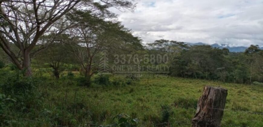 Terreno en venta en Quimistan (25 Manzanas) Santa Barbara Honduras $10,400 Por Mz. ****VENDIDO