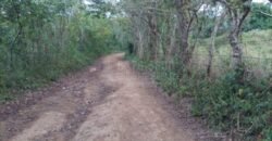 Terreno en venta en Quimistan (25 Manzanas) Santa Barbara Honduras $10,400 Por Mz. ****VENDIDO