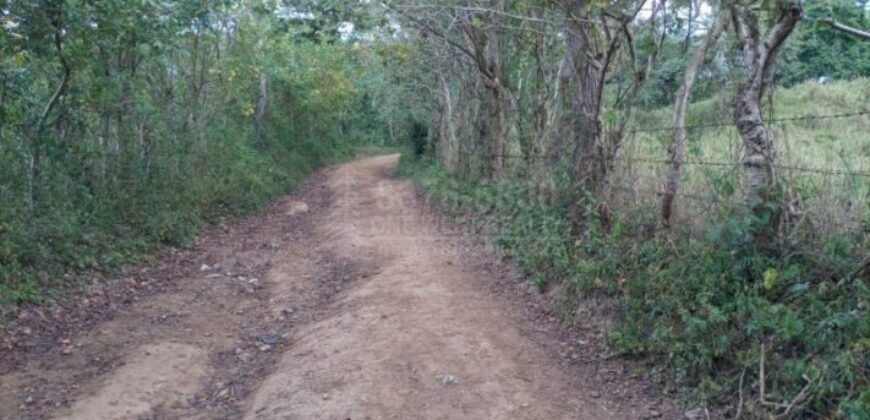 Terreno en venta en Quimistan (25 Manzanas) Santa Barbara Honduras $10,400 Por Mz. ****VENDIDO