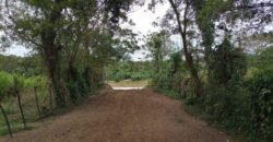 Terreno en venta en Quimistan (25 Manzanas) Santa Barbara Honduras $10,400 Por Mz. ****VENDIDO