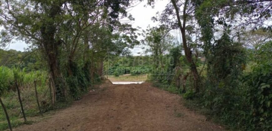 Terreno en venta en Quimistan (25 Manzanas) Santa Barbara Honduras $10,400 Por Mz. ****VENDIDO