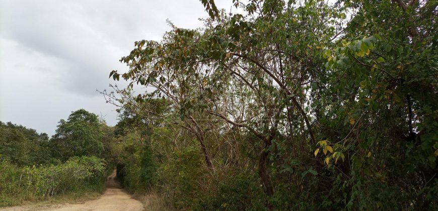 Terreno en venta en Quimistan (25 Manzanas) Santa Barbara Honduras $10,400 Por Mz. ****VENDIDO