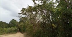 Terreno en venta en Quimistan (25 Manzanas) Santa Barbara Honduras $10,400 Por Mz. ****VENDIDO