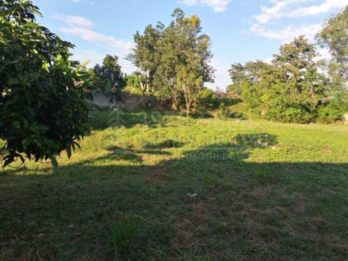 Terreno grande en venta en El Progreso Zona comercial CA-13   VENDIDO
