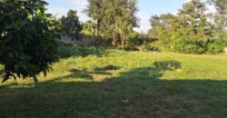 Terreno grande en venta en El Progreso Zona comercial CA-13 **VENDIDO*** Terreno grande en venta en El Progreso Zona comercial CA-13 **VENDIDO***