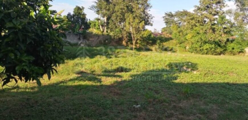 Terreno grande en venta en El Progreso Zona comercial CA-13 **VENDIDO***