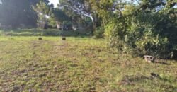 Terreno grande en venta en El Progreso Zona comercial CA-13 **VENDIDO*** Terreno grande en venta en El Progreso Zona comercial CA-13 **VENDIDO***