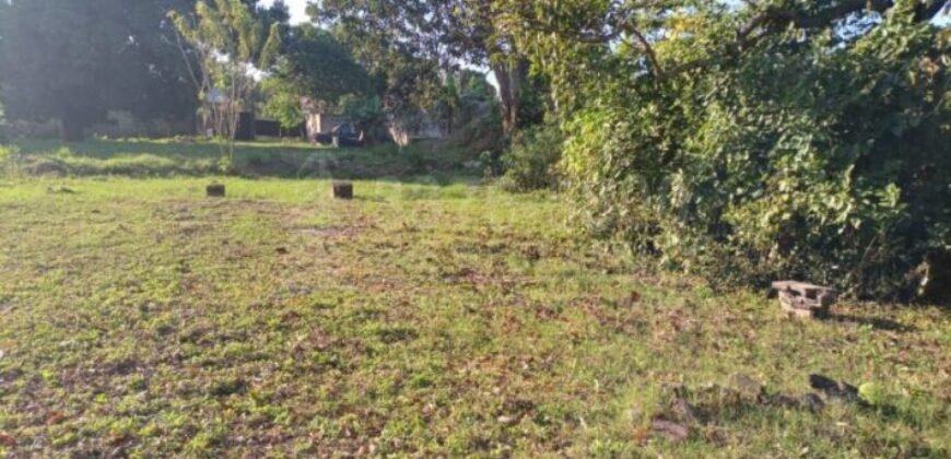 Terreno grande en venta en El Progreso Zona comercial CA-13 **VENDIDO***