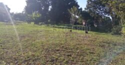 Terreno grande en venta en El Progreso Zona comercial CA-13 **VENDIDO*** Terreno grande en venta en El Progreso Zona comercial CA-13 **VENDIDO***