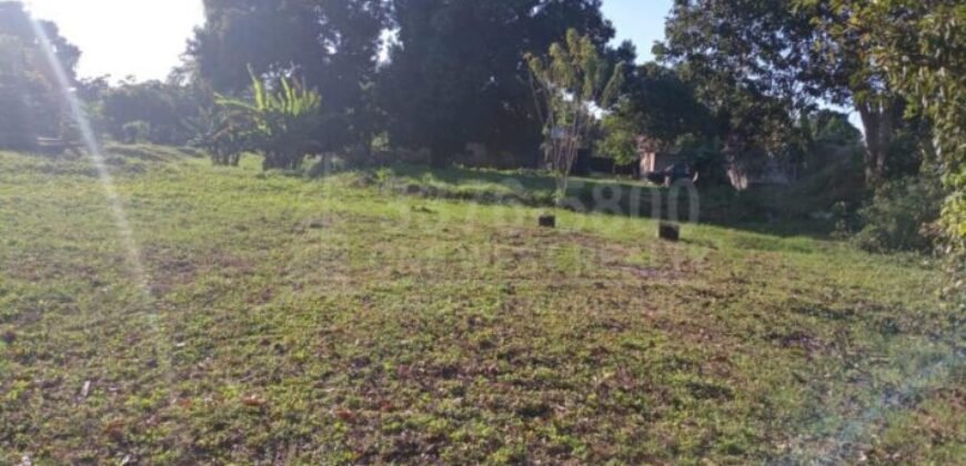 Terreno grande en venta en El Progreso Zona comercial CA-13 **VENDIDO***