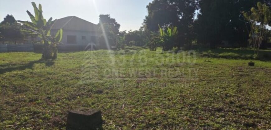 Terreno grande en venta en El Progreso Zona comercial CA-13 **VENDIDO***