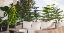 Se renta Apartamentos en Residenza Rio de Piedras en San Pedro Sula