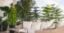 Se renta Apartamentos en Residenza Rio de Piedras en San Pedro Sula