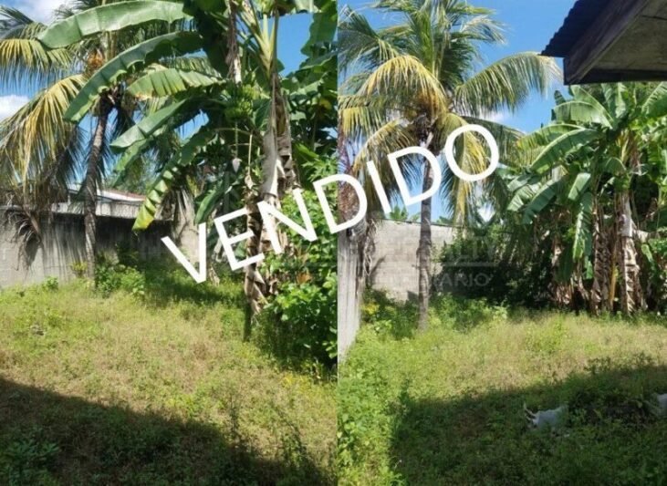 Casa En Venta Col Bendeck