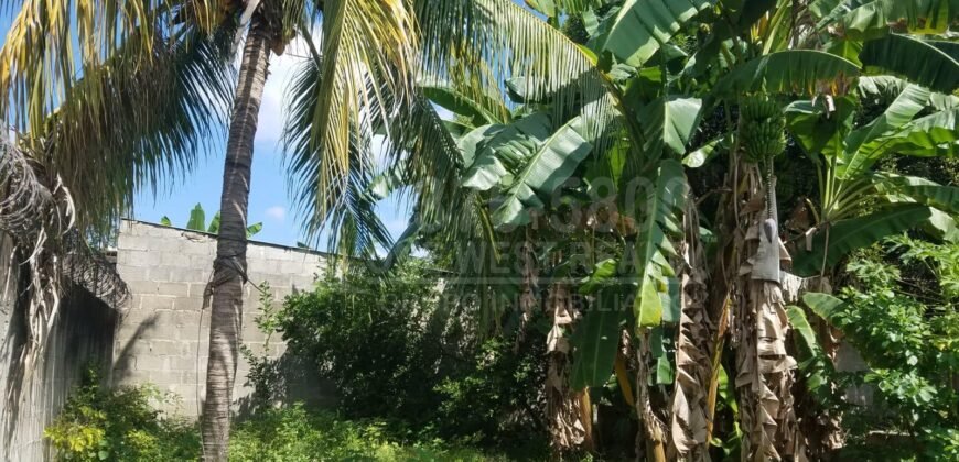 Casa En Venta Col Bendeck El Progreso Yoro 4 habitaciones