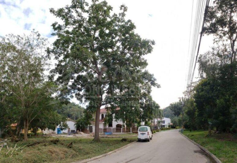 Terreno en Venta Residencial Campisa San Pedro Sula