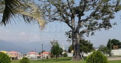 Residencial Paseo Real San Pedro Sula Townhouse (Pre-Venta) Residencial Paseo Real San Pedro Sula Townhouse (Pre-Venta)