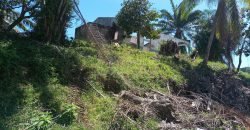 Terreno en venta en Tela Atlántida en Barrio Highland Creek