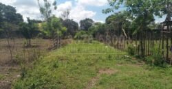 Terreno en venta en residencial Las Acacias El Progreso, Yoro