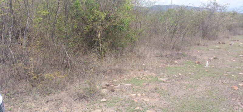 TERRENOS PARA LOTIFICAR EN COMAYAGUA
