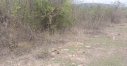 Comayagua terrenos en venta CA-5
