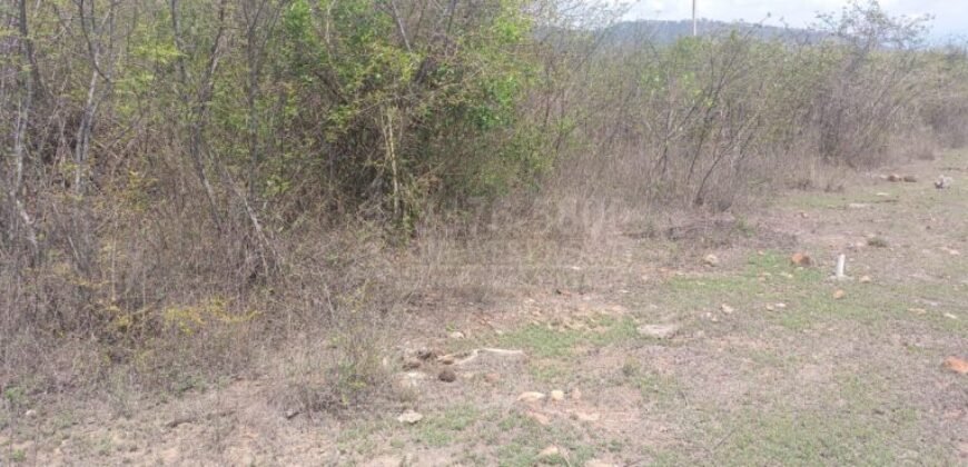 Comayagua terrenos en venta CA-5