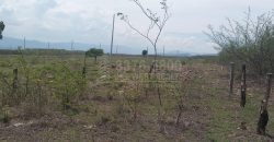Comayagua terrenos en venta CA-5