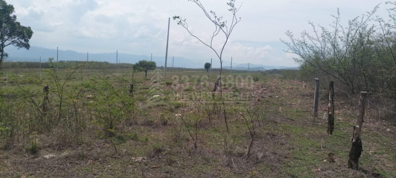 TERRENOS PARA LOTIFICAR